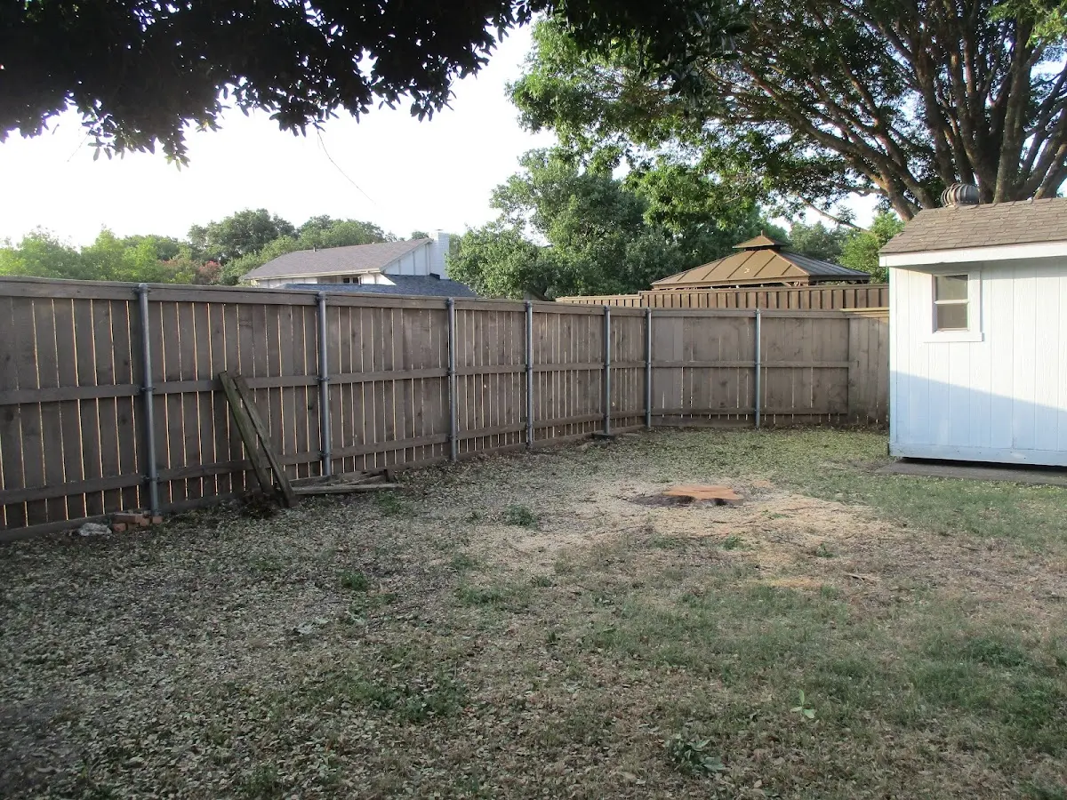 Cleared yard after professional tree removal in Terra Bella